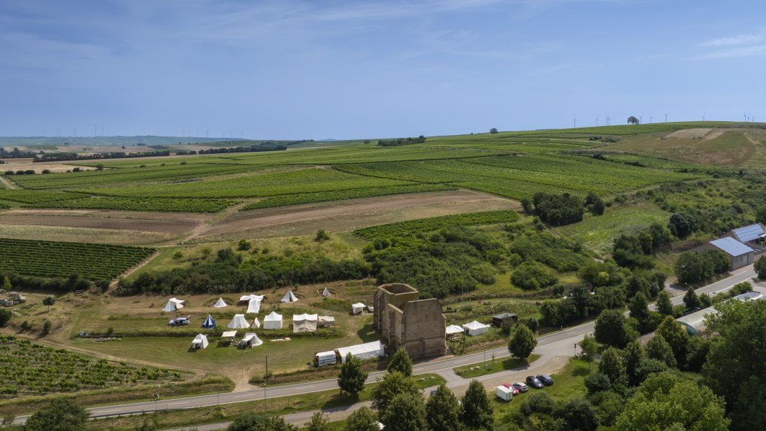 Eckelsheimer Eseltreiber, © Torsten Silz