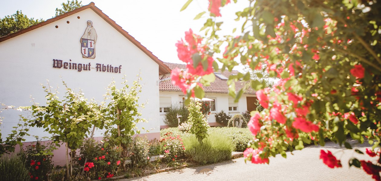 Weingut-Abthof-Juni-2021-DRUCK-203, © Weingut Abthof