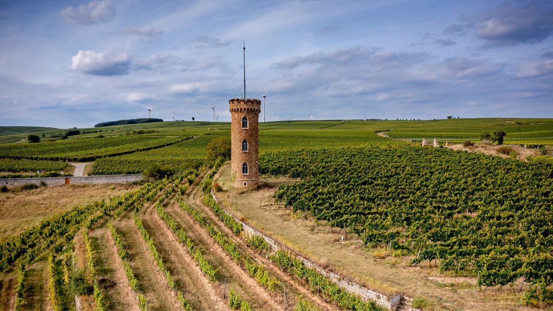 Weinheimer Kapellenberg