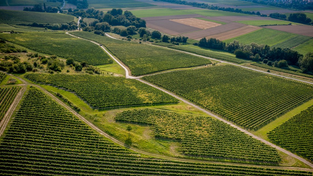 Saulheimer Schloßberg