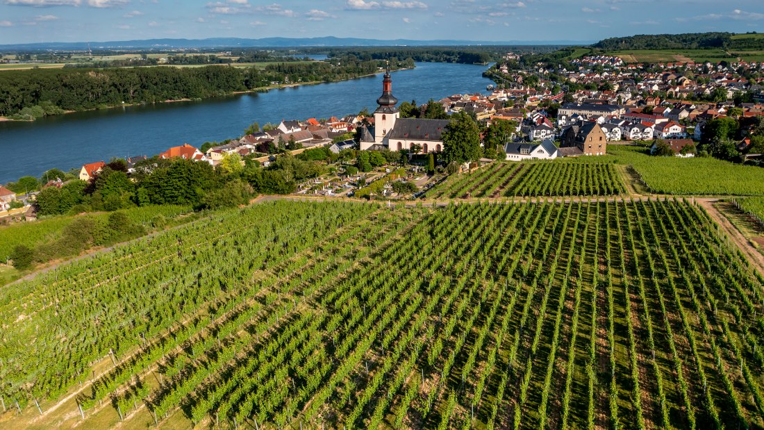 Niersteiner Kranzberg